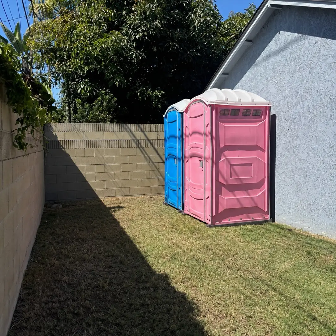 Blue and pink porta potties placed in a fenced backyard on grass